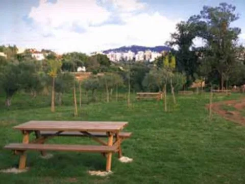 Cartel de Olivar Chico de los Frailes