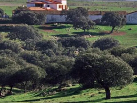 Cartel de ZEPA Llanos de Cáceres y Sierra de Fuentes