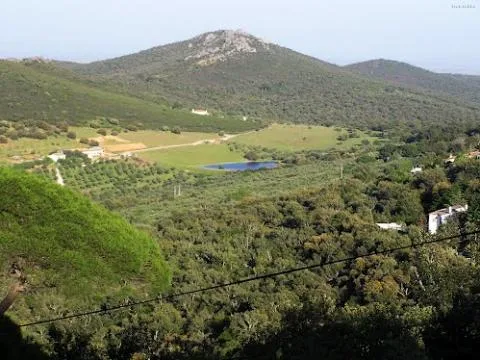 Cartel de Sierra de la Mosca